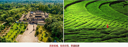 茶文化是歷史，設(shè)計源于何方